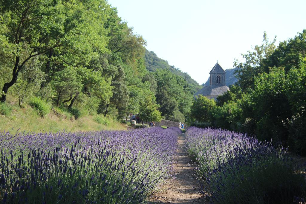 Le Mazet Du Domaine Villa Gordes Kültér fotó